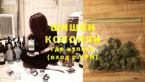 МДПВ Алексин