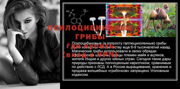 МДПВ Алексин