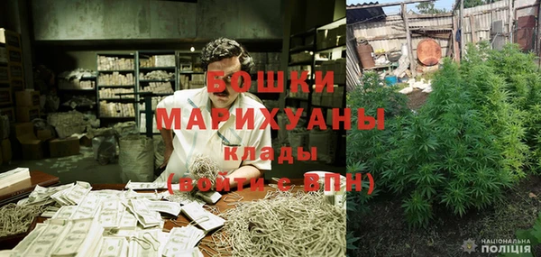 ГАЛЛЮЦИНОГЕННЫЕ ГРИБЫ Алексеевка