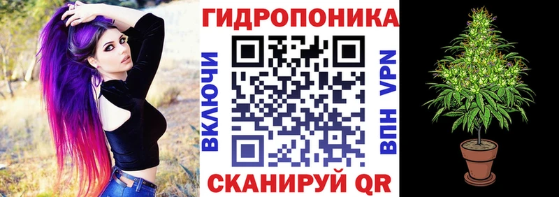 дарнет шоп  Динская  Бошки Шишки OG Kush 